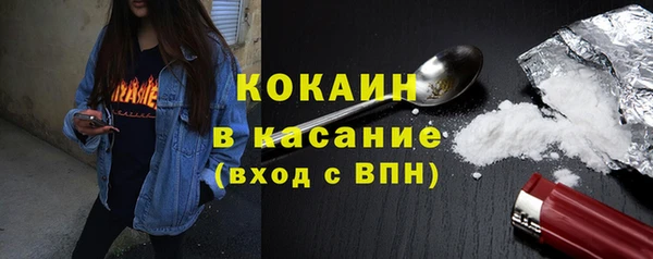гидра Верея