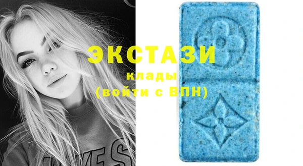 гидра Верея