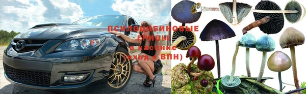 гидра Верея